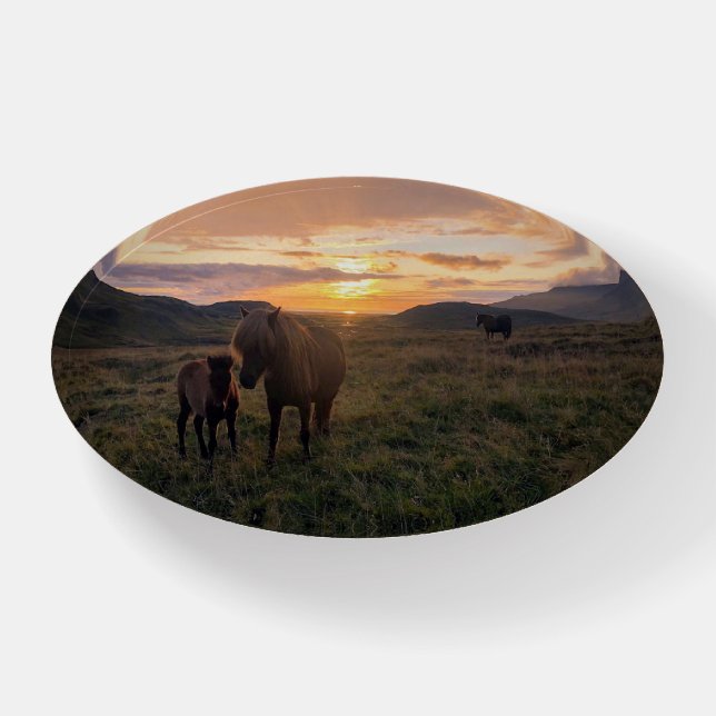 Icelandic horses - paperweight (Front)