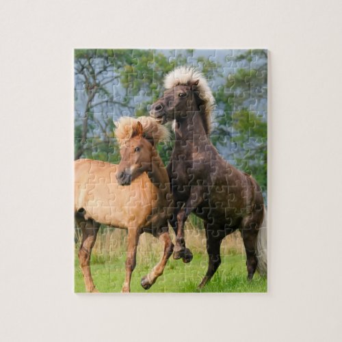Icelandic horses playing and rearing jigsaw puzzle