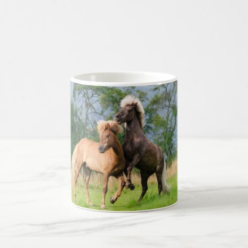 Icelandic Horses Playing and Rearing Photo _ Coffee Mug