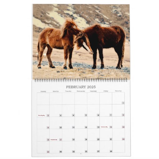 Icelandic Horses Wildlife Photography Custom Year Calendar Zazzle