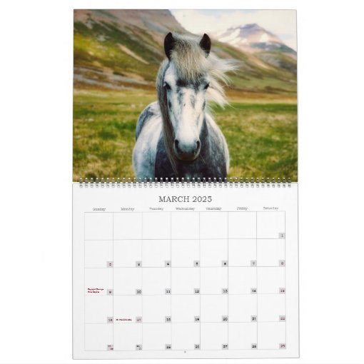 Icelandic Horses Wildlife Photography Custom Year Calendar Zazzle