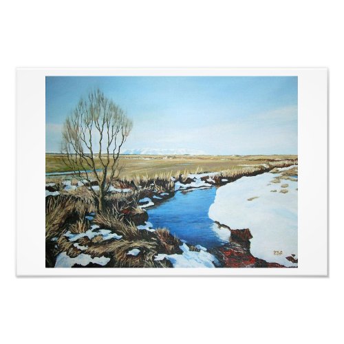 Icelandic landscape by PolaBAlex Photo Print