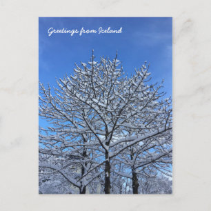 Icelandic landscape postcard