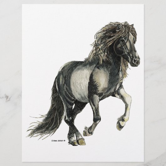 Icelandic mare Brana (Front)