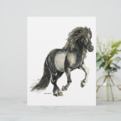 Icelandic mare Brana (Standing Front)