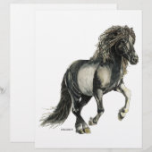 Icelandic mare Brana (Front/Back)