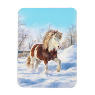 Icelandic Pinto Winter Magnet
