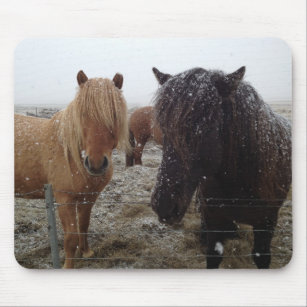 Icelandic Ponies, Iceland horses in snow gifts Mouse Pad