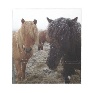 Icelandic Ponies, Iceland horses in snow gifts Notepad