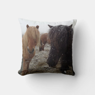 Icelandic Ponies, Iceland horses in snow pillow