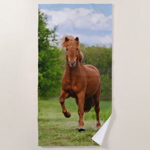 Icelandic Pony at a Tölt Funny Photo Horse Lovers Beach Towel