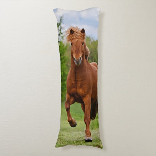 Icelandic Pony at a Tlt Funny Photo Horse Lovers Body Pillow