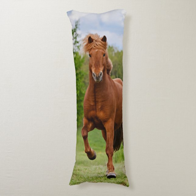 Icelandic Pony at a Tölt Funny Photo Horse Lovers Body Pillow (Front Vertical)