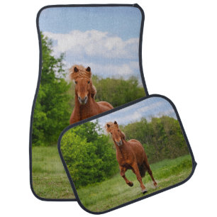 Icelandic Pony at a Tölt Funny Photo Horse Lovers Car Mat