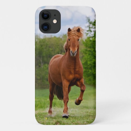 Icelandic Pony at a Tlt Funny Photo Horse Lovers iPhone 11 Case