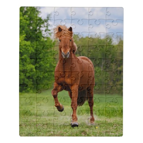 Icelandic Pony at a Tlt Funny Photo Horse Lovers Jigsaw Puzzle