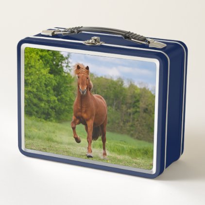 Icelandic Pony at a T&#246;lt Funny Photo Horse Lovers Metal Lunch Box
