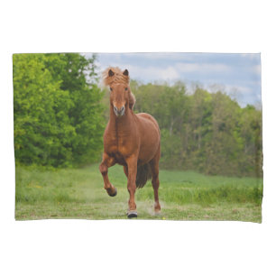 Icelandic Pony at a Tölt Funny Photo Horse Lovers Pillowcase