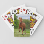 Icelandic Pony At A T&#246;lt Funny Photo Horse Lovers Playing Cards at Zazzle