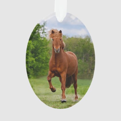 Icelandic Pony runs T&#246;lt Funny Photo Horse Lovers Ornament