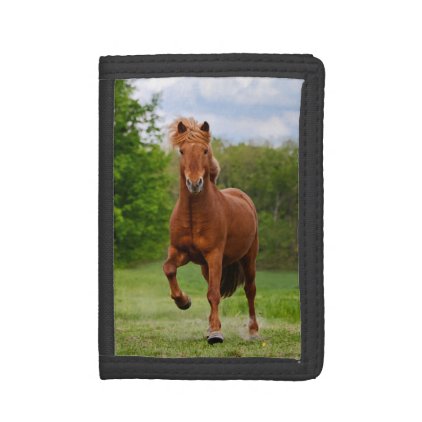 Icelandic Pony Runs T&#246;lt Funny Photo Horse Lovers Tri-fold Wallet