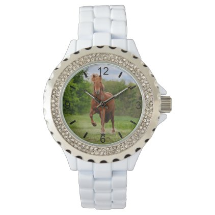 Icelandic Pony T&#246;lt Funny Photo Horse Lovers dial Watch