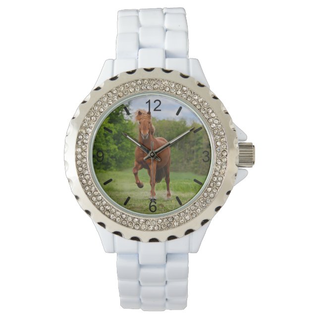 Icelandic Pony Tölt Funny Photo Horse Lovers  dial Watch (Front)