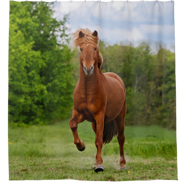 Icelandic Pony Tölt Funny Photo Horse Lovers - Tub Shower Curtain (Front)