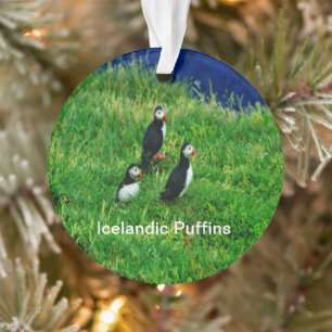 Icelandic Puffins in Summer Ornament