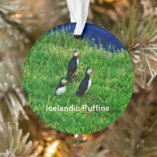 Icelandic Puffins in Summer Ornament