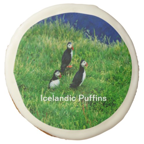 Icelandic Puffins in Summer Sugar Cookie