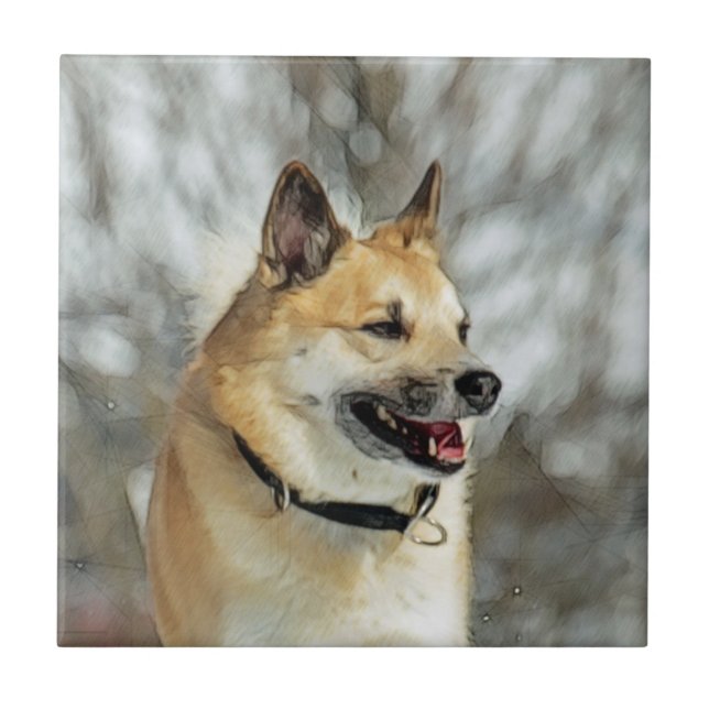 Icelandic Sheepdog 019 Ceramic Tile (Front)