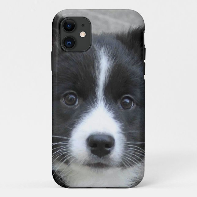 Icelandic Sheepdog 2014-0804 Case-Mate iPhone Case (Back)