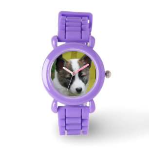 Icelandic Sheepdog 2014-0806 Watch