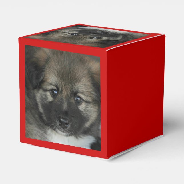 Icelandic Sheepdog 2014-0808 Favor Boxes (Back Side)