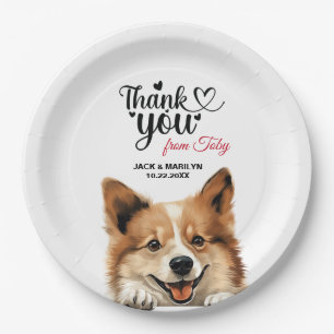 Icelandic Sheepdog Paper Plates