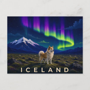 Icelandic Sheepdog Under the Aurora   Iconic Icela Postcard