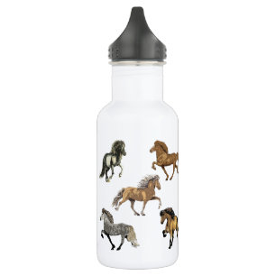 Icelandic's in Gait Stainless Steel Water Bottle