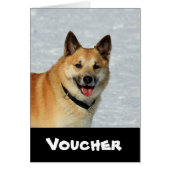 IcelandicSheepdog20150904 (Front)