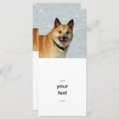 IcelandicSheepdog20150904 (Front/Back)