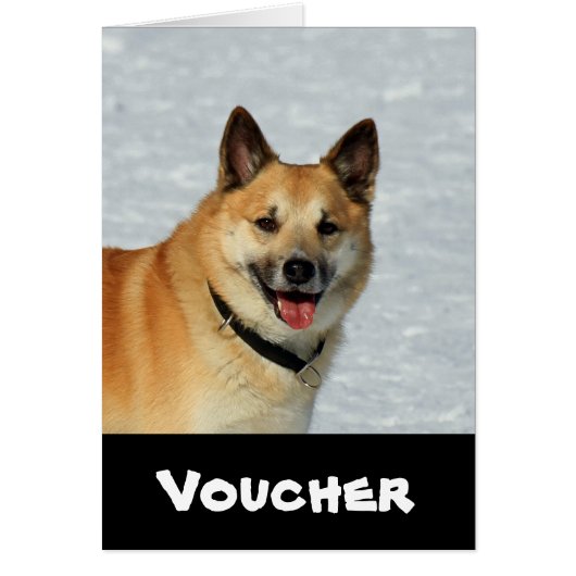 IcelandicSheepdog20150904 Cards (Front)