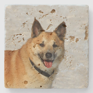 IcelandicSheepdog20150904 Stone Coaster