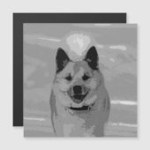 IcelandicSheepdog20151203 (Front/Back)