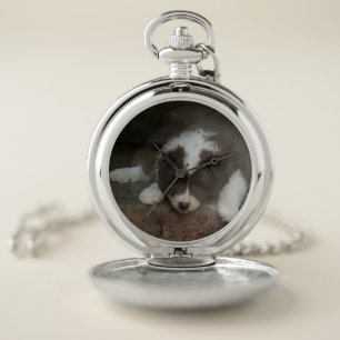 IcelandicSheepdog_20171201_by_JAMFoto Pocket Watch