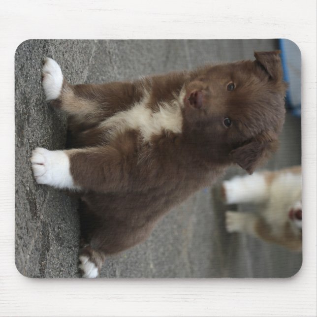 IcelandicSheepdog_20171202_by_JAMFoto Mouse Pad (Front)