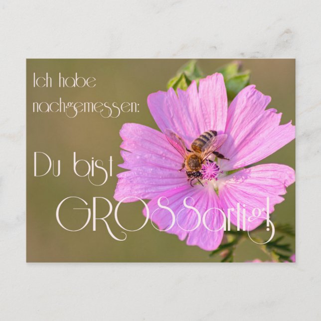 Ich habe nachgemessen: Du bist großartig! Postcard (Front)