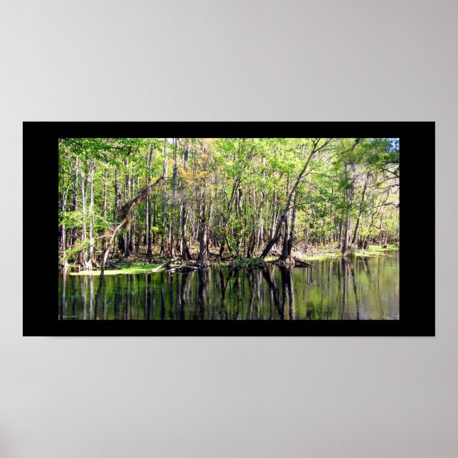 Ichetucknee River Poster (Front)