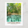 Ichetucknee Springs State Park Florida Watercolor Postcard