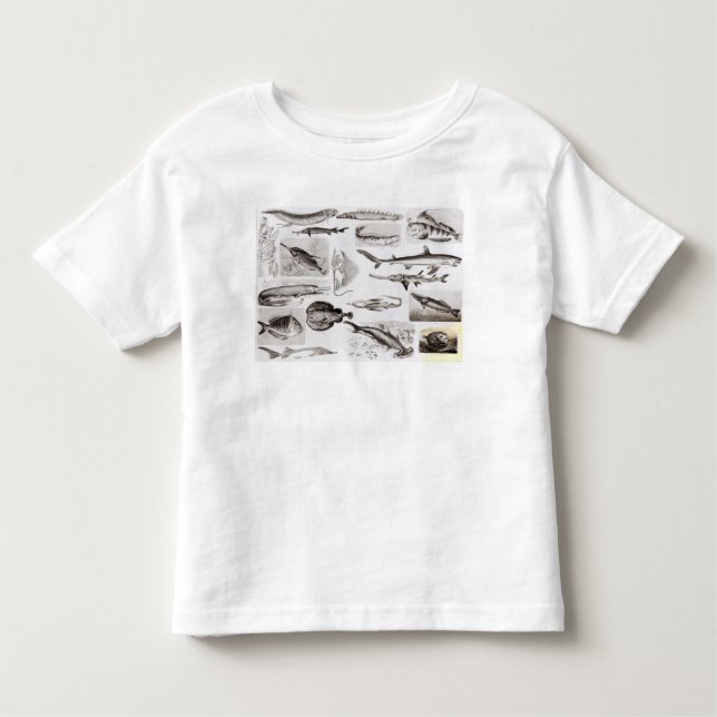 Ichthyology- Elasmobranch, Ganoid Toddler T-shirt (Front)