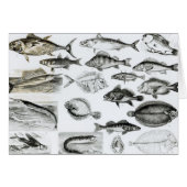 Ichthyology Osseous Fishes (Front Horizontal)